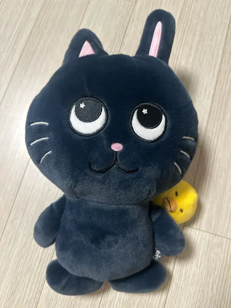 RIIZE（ライズ）ウォンビン(WONBIN) 40cm - メルカリ