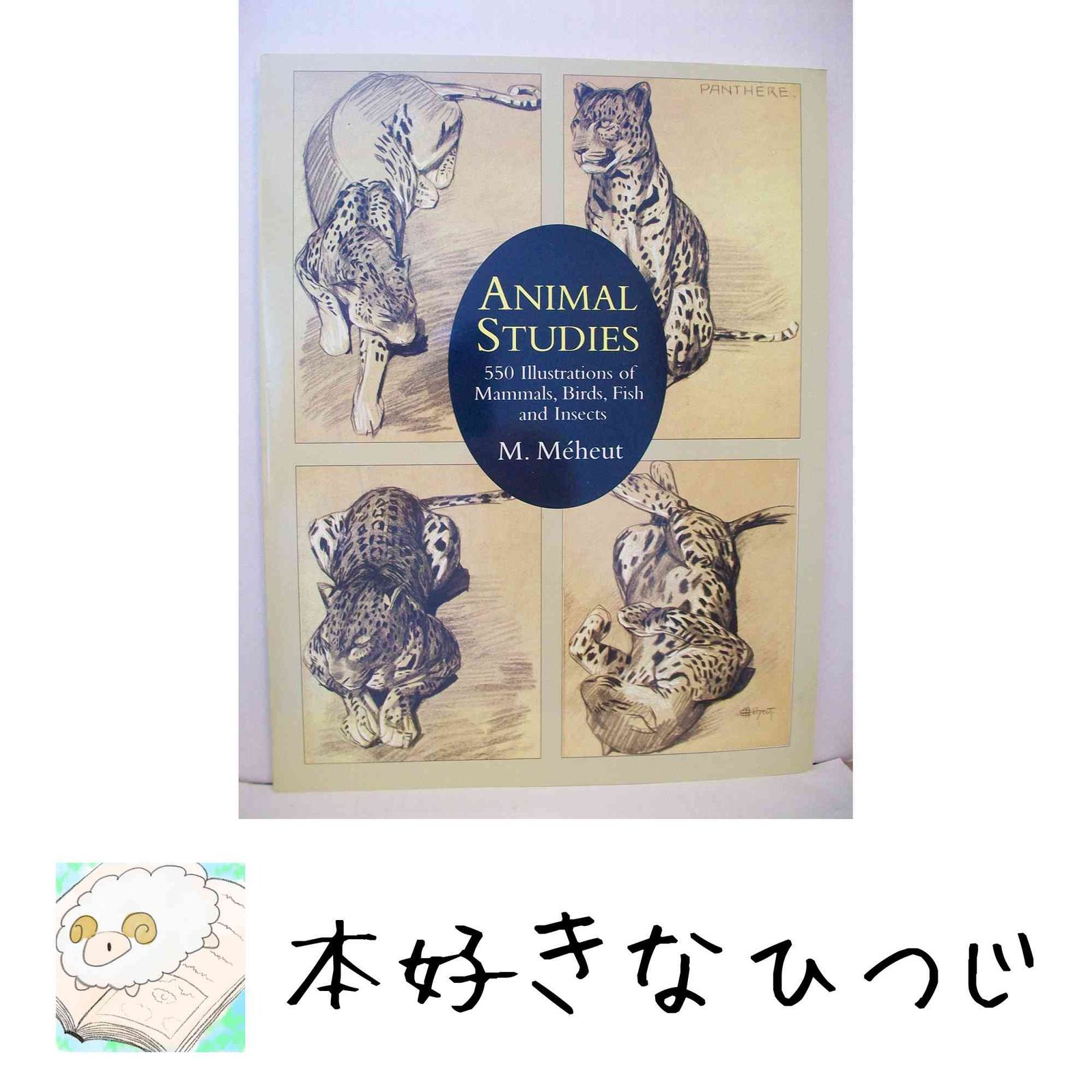 Animal Studies: 550 Illustrations of Mammals, Birds, Fish and