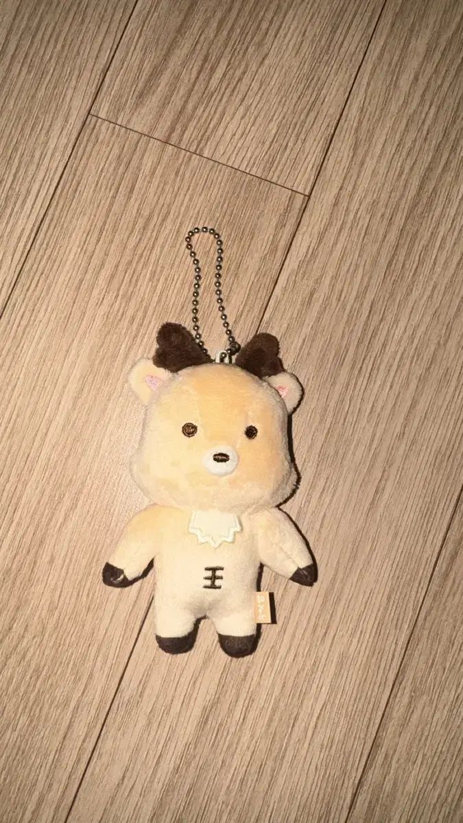 RIIZE（ライズ） ソンチャン（SUNGCHAN） ウーラク（URAK） 夜（ヨ） 1