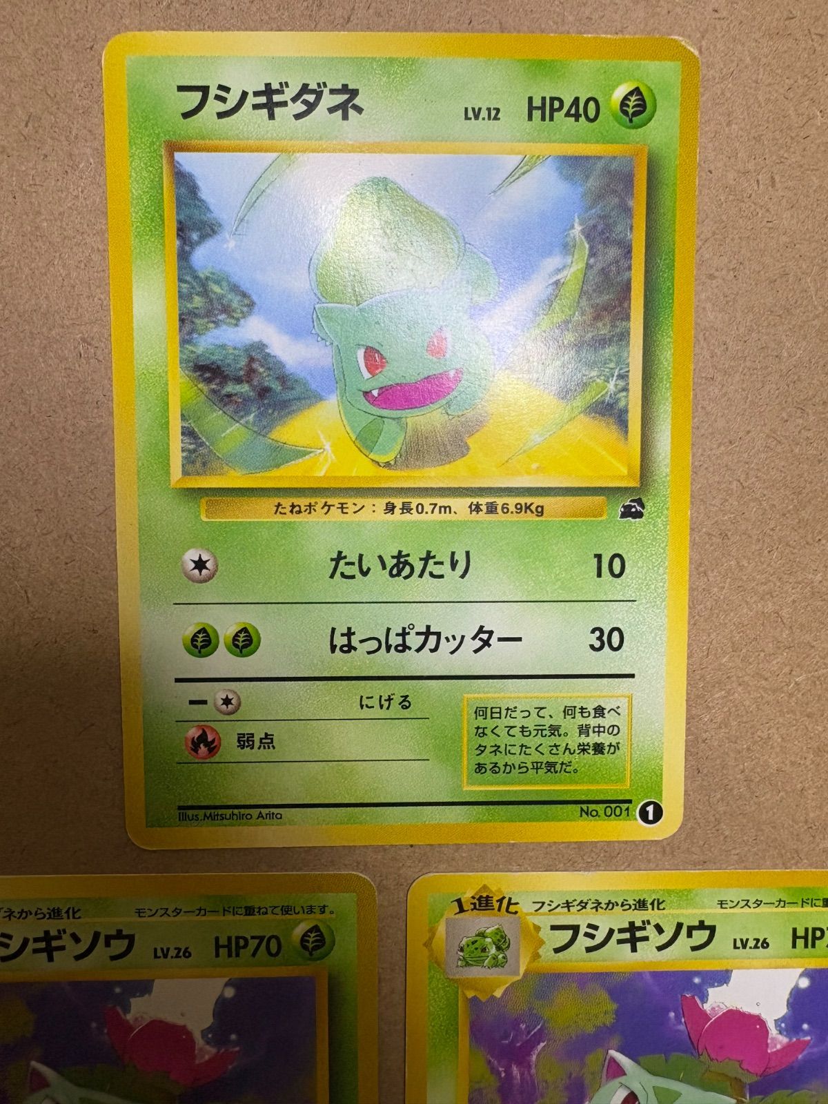 イントロパックのフシギダネ1＆フシギソウ22.32(フシギダネマーク