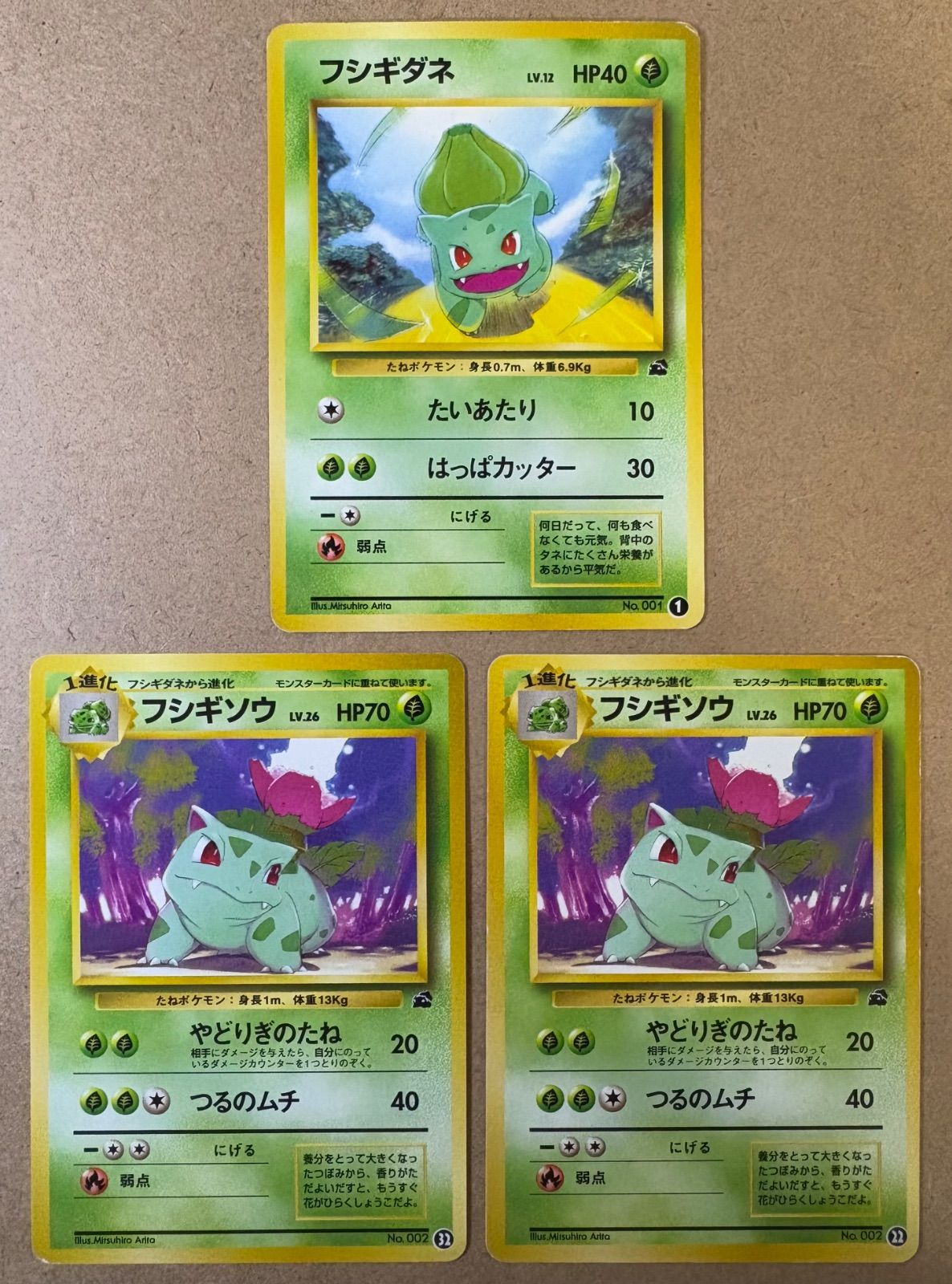 イントロパック フシギダネ、ゼニガメデッキ 旧裏 イントロパック