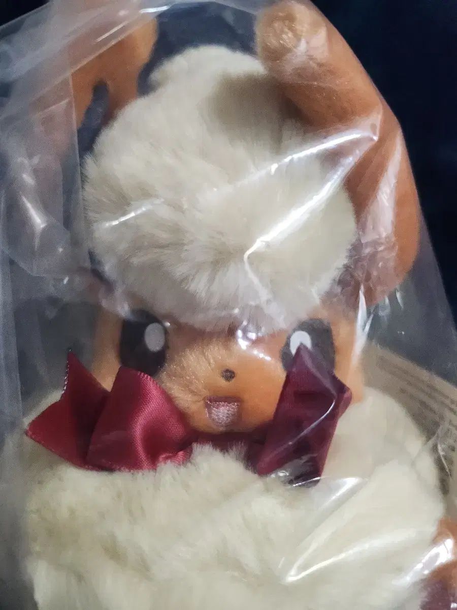 ポケモンセンター イーブイ コレクション ハイファイブ ブースター