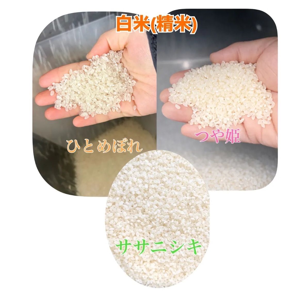 令和7年産 宮城登米産 ひとめぼれ・つきあかり 玄米20kg 食べ比べ