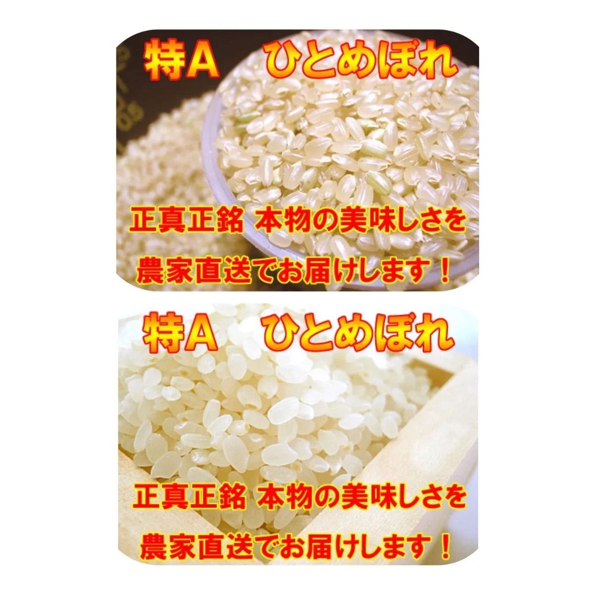 令和7年産】宮城登米産 ひとめぼれ・つきあかり玄米20kg食べ比べセット