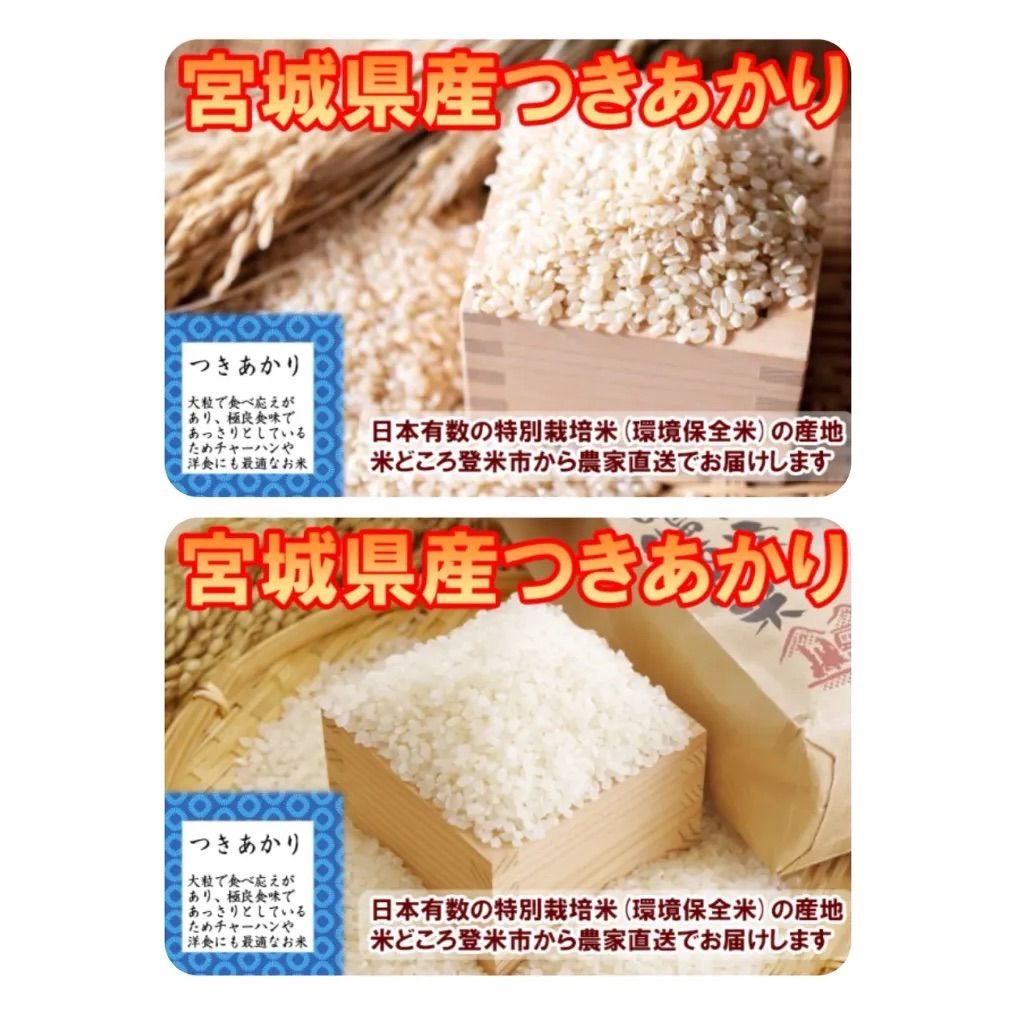 令和7年産 宮城登米産 ひとめぼれ・つきあかり 玄米20kg 食べ比べ