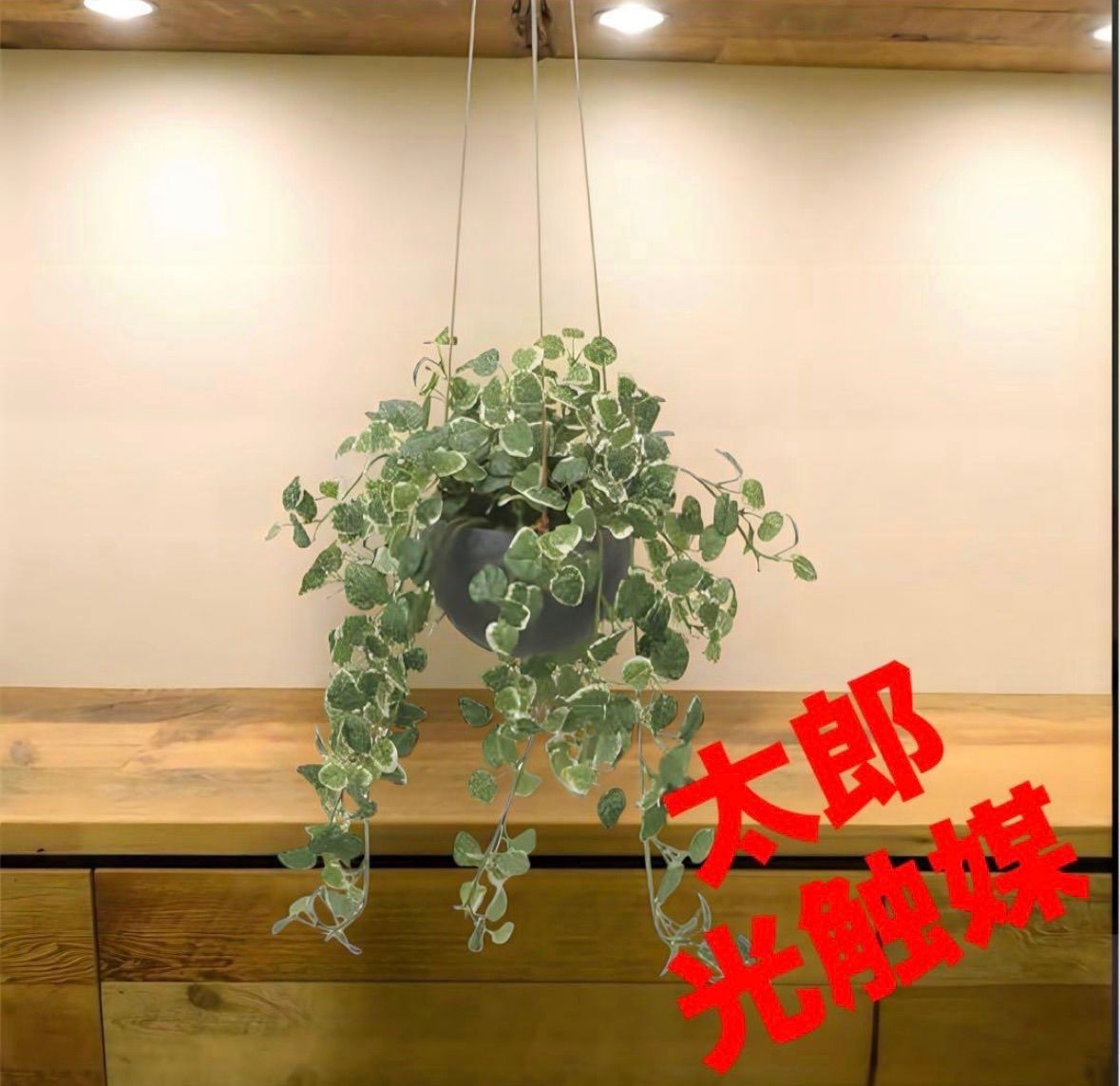 光触媒 人工観葉植物 ウォールグリーン フェイクグリーン プミラ