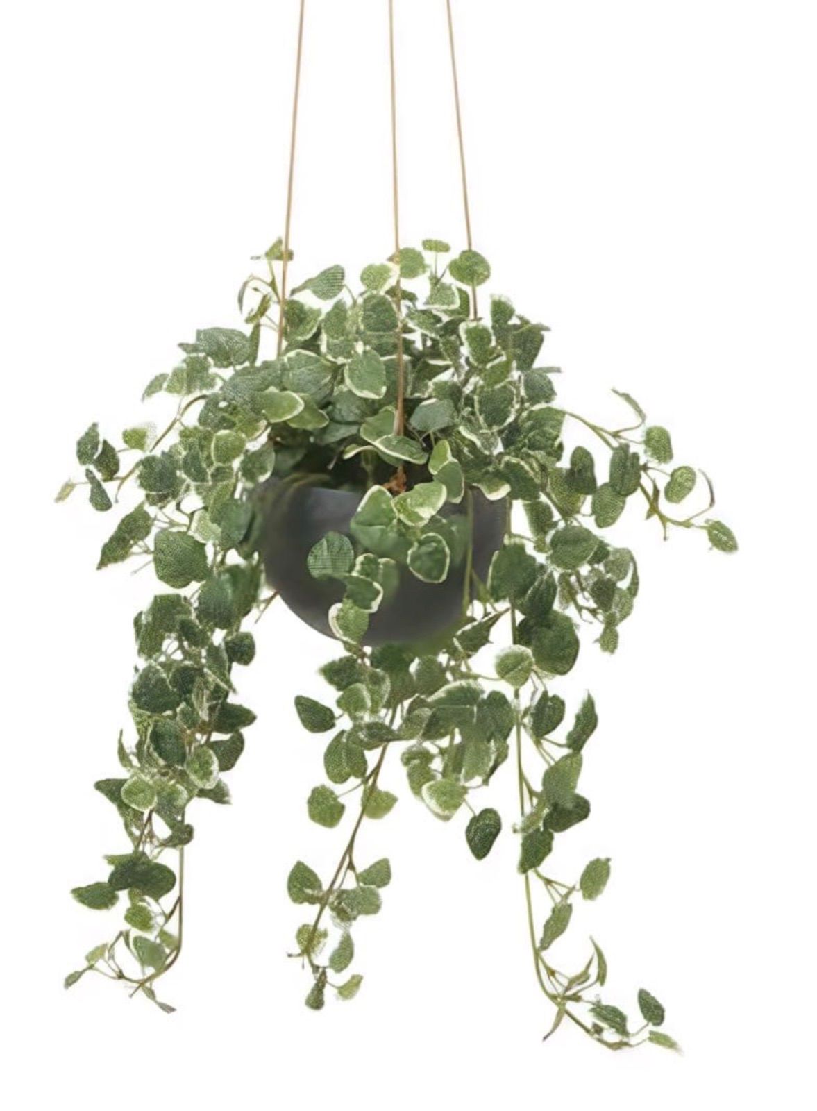 光触媒 人工観葉植物 ウォールグリーン フェイクグリーン プミラ