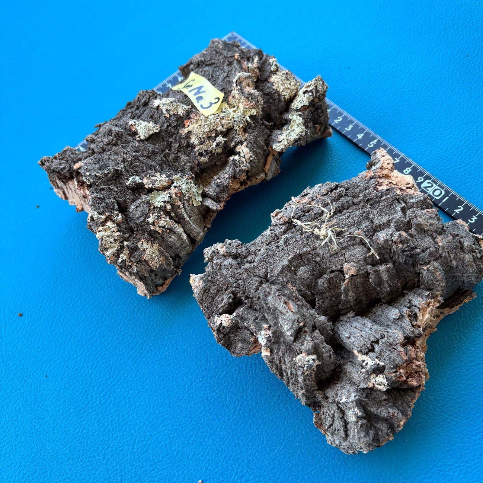 バージンコルク樹皮・コルク板（セット）No.3 - メルカリ