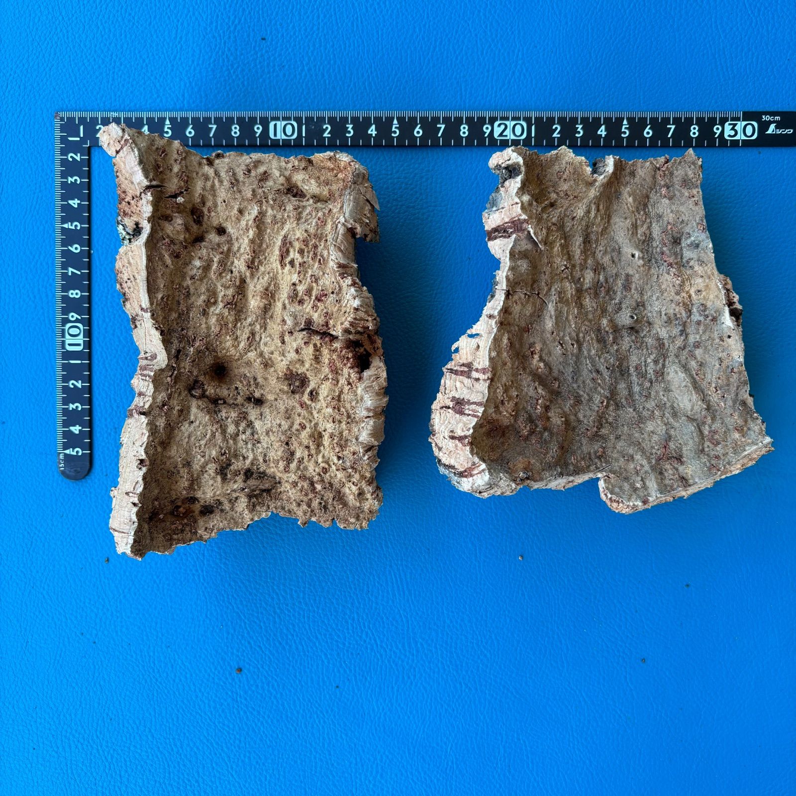 大型バージンコルク樹皮(3サイズセット） バージンコルク樹皮・コルク板（セット）No.3 - メルカリ