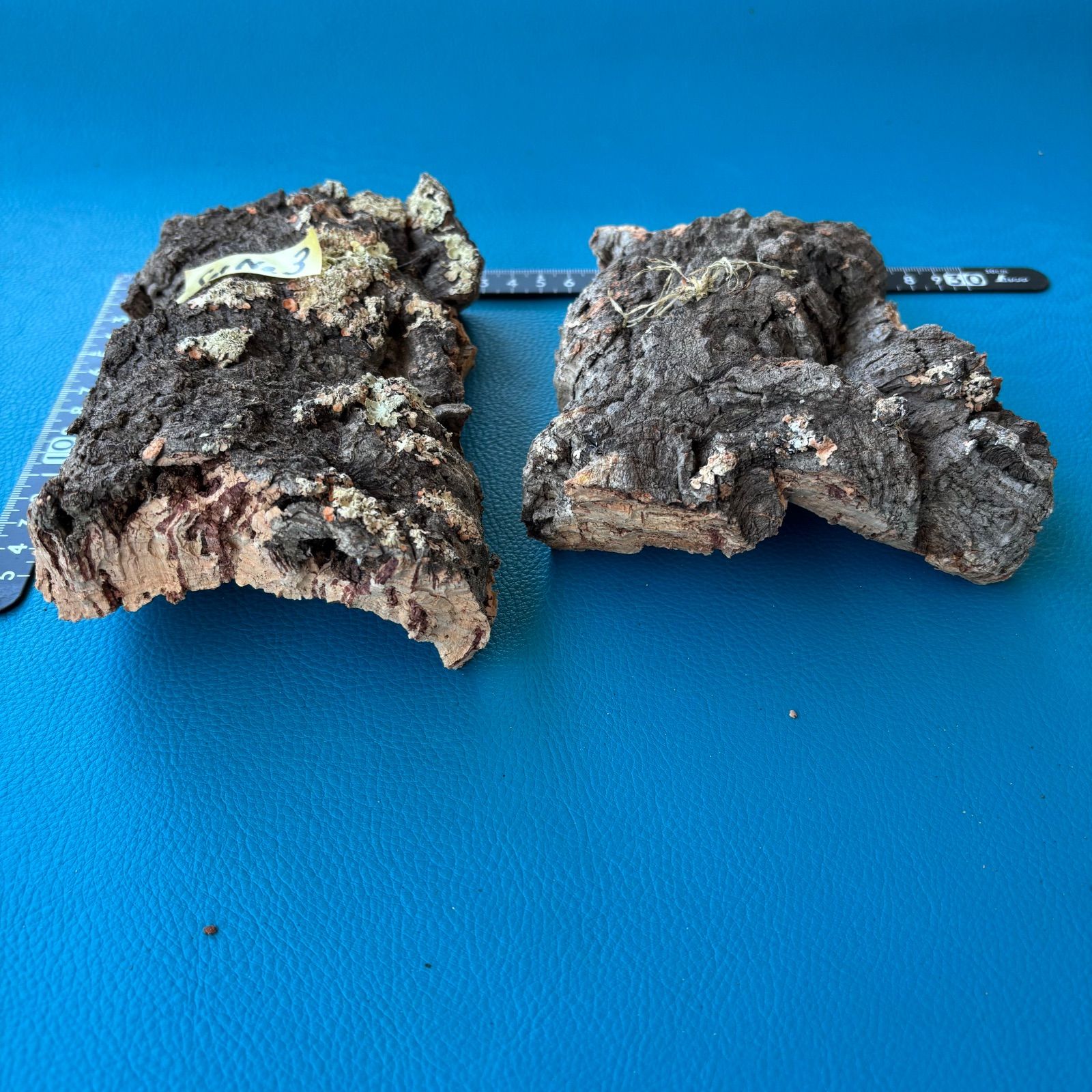 バージンコルク樹皮・コルク板（セット）No.3 - メルカリ