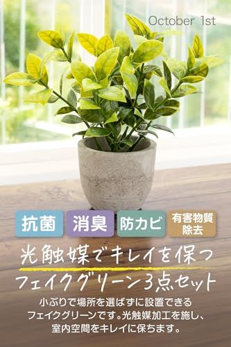 October1st フェイクグリーン 観葉植物 人工 3点セット 卓上用 光触媒