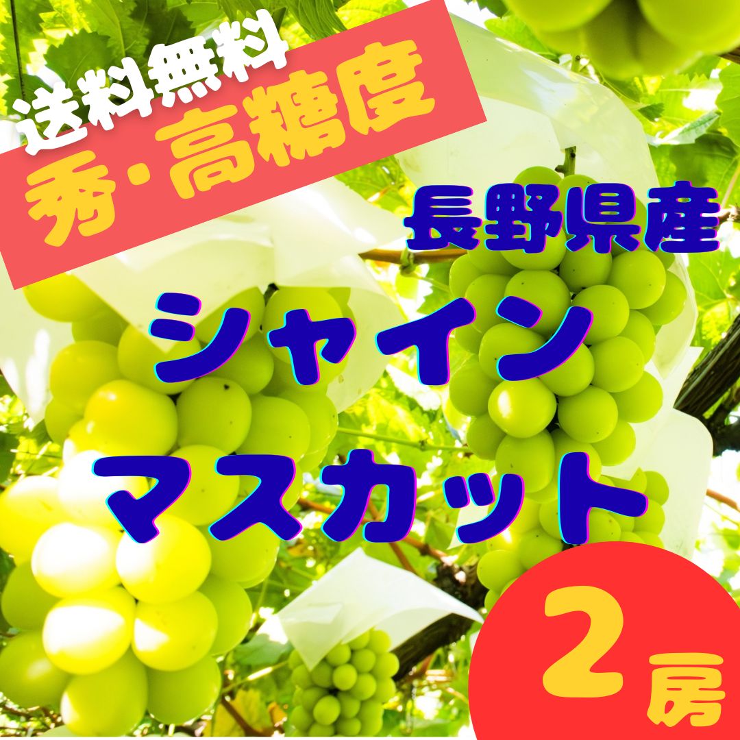 高糖度 シャインマスカット 2房 1kg 秀品 長野県産- メルカリ