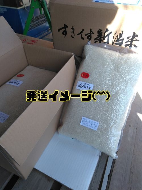 特別栽培米新潟県産ミルキークイーン15k 食品 特別栽培米新潟県産ミルキークイーン15k