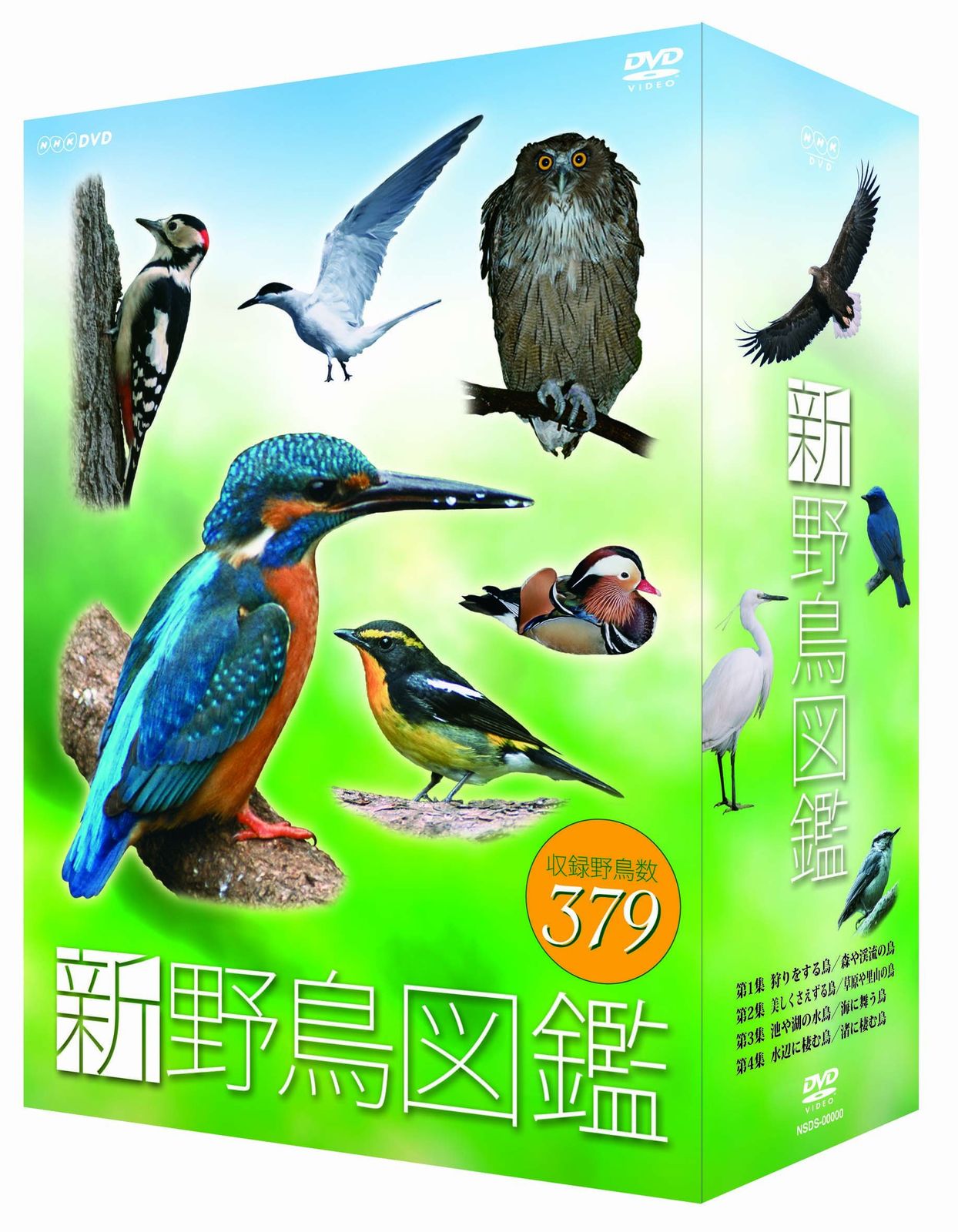 新 野鳥図鑑 DVD-BOX 全4枚セット【NHKスクエア限定商品】(中古品