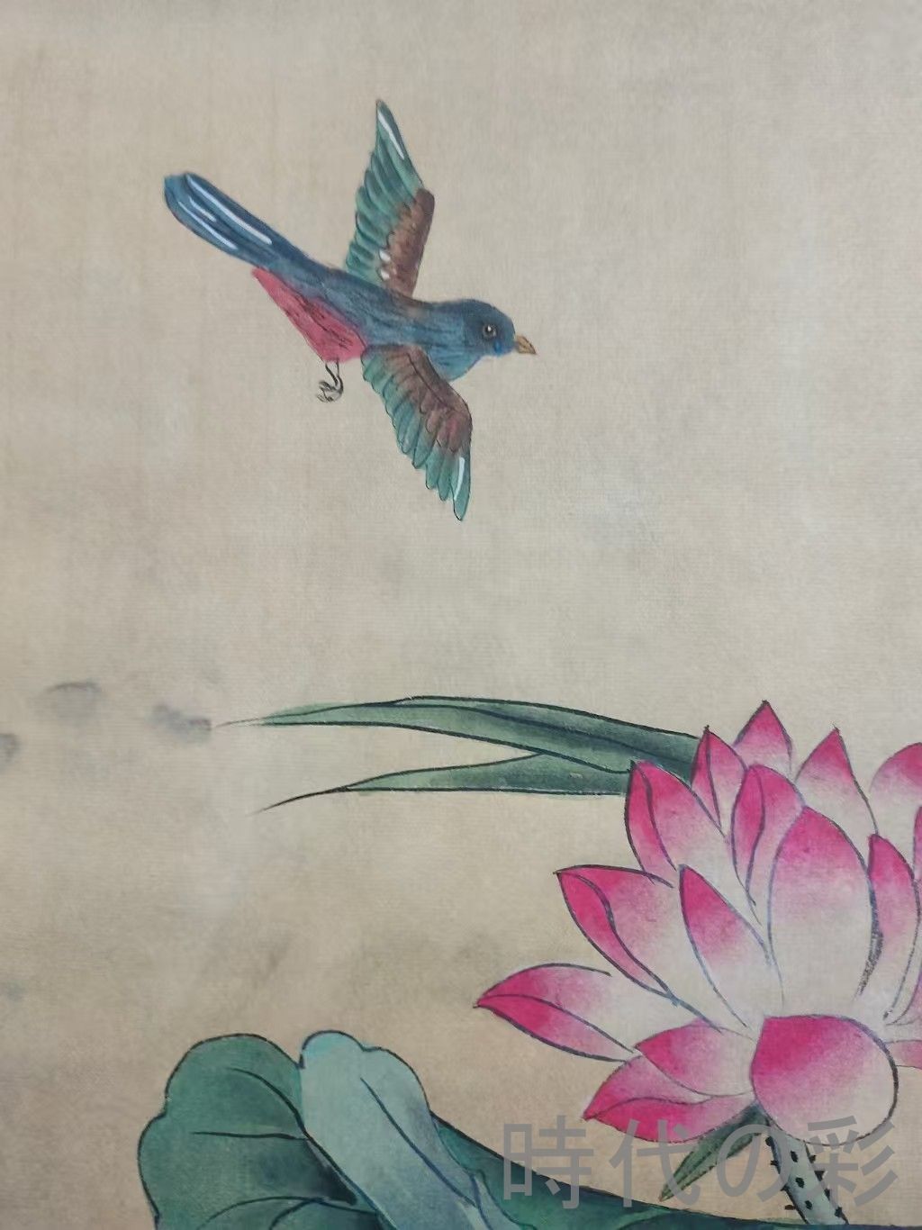 中国古美術.明時代.呂紀款.花鳥図.宣紙画.三尺手描き.肉筆.掛け軸.絵画