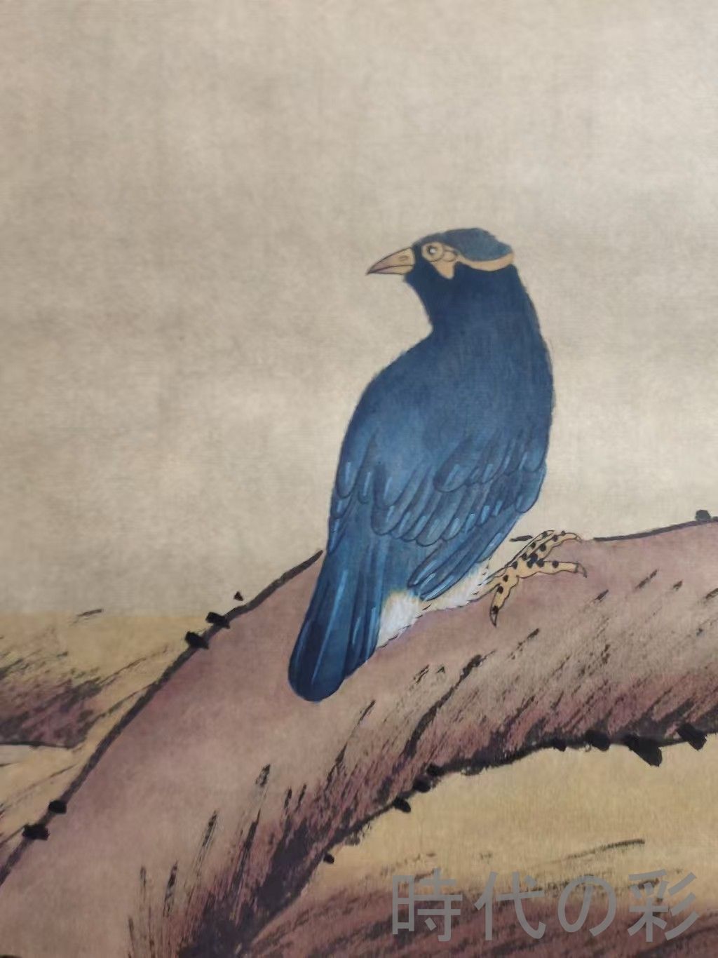 中国古美術.清時代.?廷錫款.花鳥図.宣紙画.三尺手描き.肉筆.掛け軸