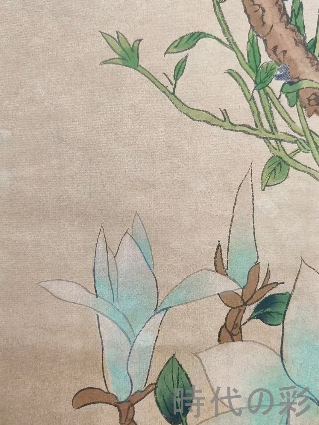 中国古美術.現時代.田世光款.花鳥図.宣紙画.三尺手描き.肉筆.掛け軸