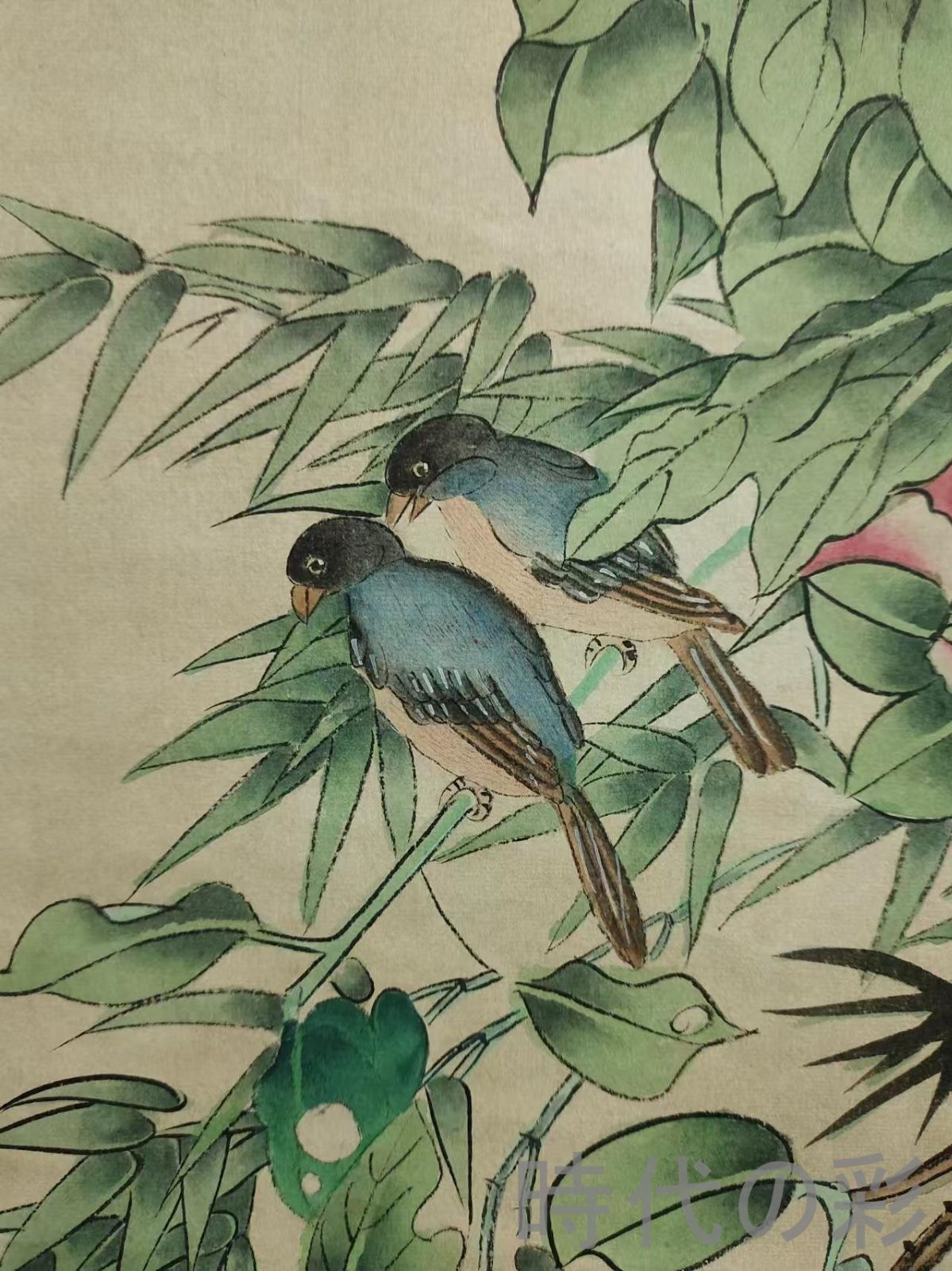 中国古美術.近現代.孔小瑜款.花鳥図.宣紙画.三尺手描き.肉筆.掛け軸