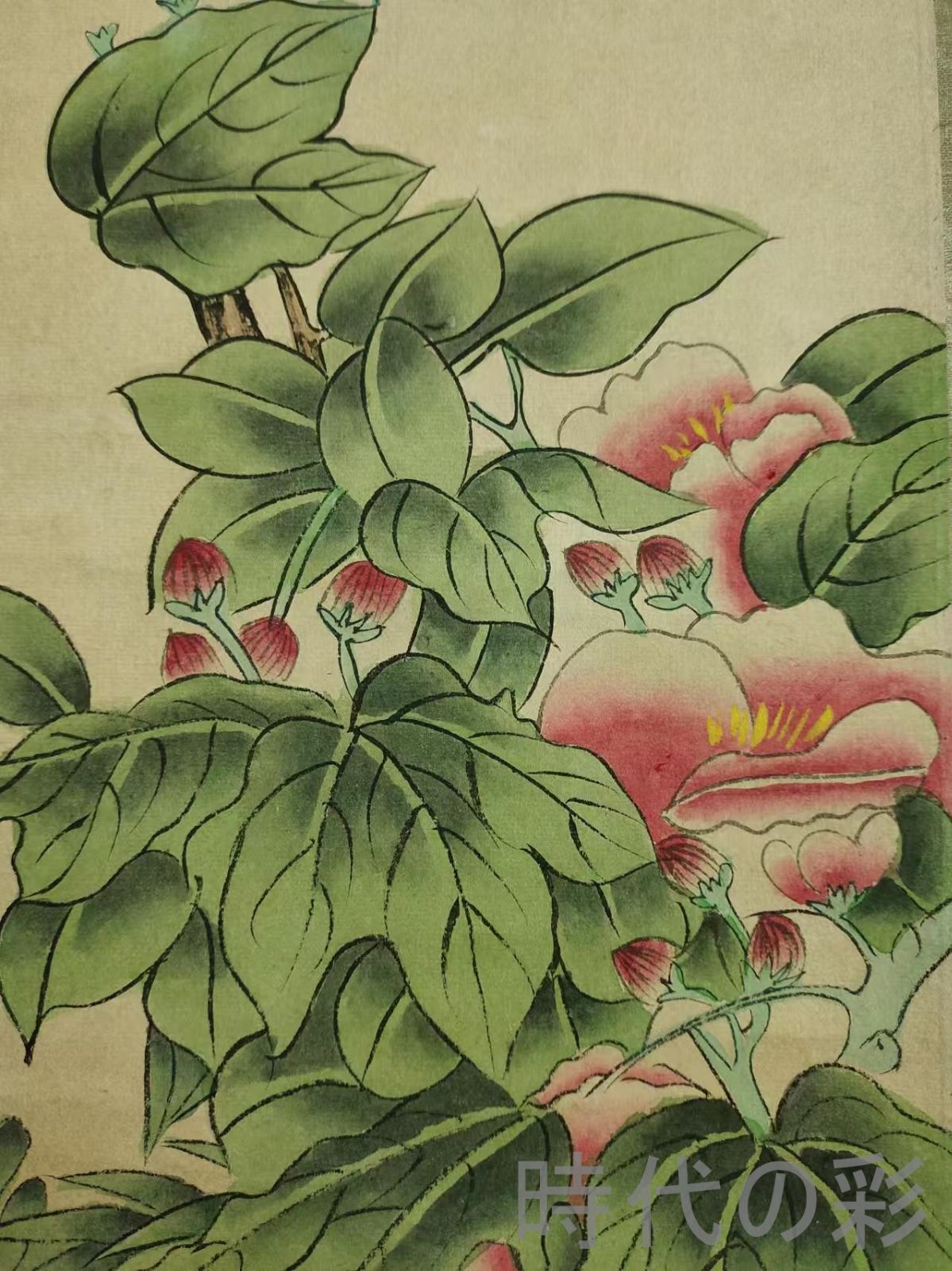 中国古美術.近現代.孔小瑜款.花鳥図.宣紙画.三尺手描き.肉筆.掛け軸