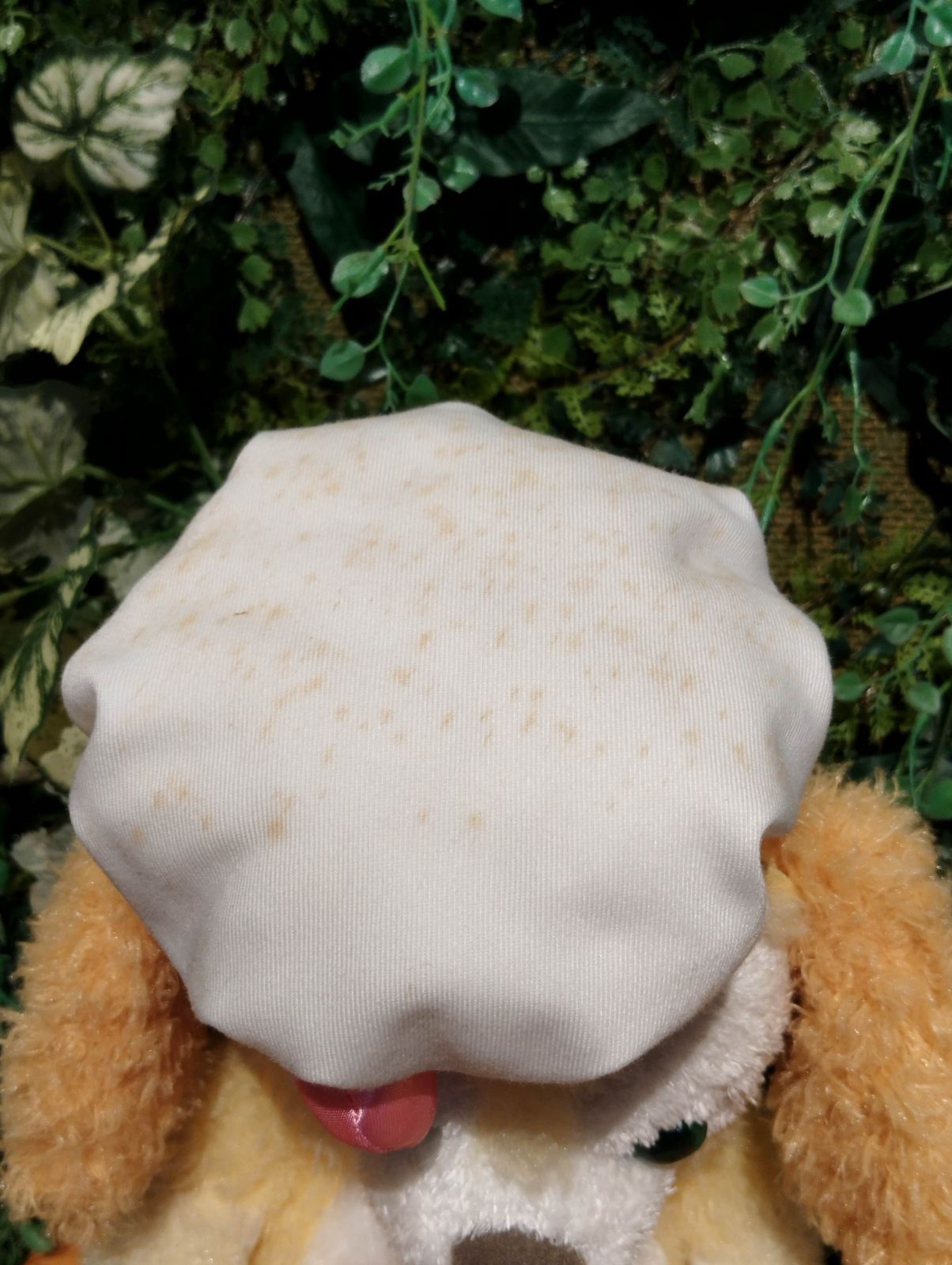  ディズニー ダッフィー＆フレンズ ぬいぐるみ５体セット ぬいぐるみ マスコット キャラクターグッズ