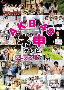【中古】 AKB48 ネ申 テレビ (30巻セット) シーズン1+SP 全3巻,シーズン2 全2巻,シーズン3+SP 2009 全3巻,シーズン4 全2巻,シーズン5 全2巻,シーズン6 全2巻,シーズン7 全2巻,その他 [レンタル落ち] [DVD]