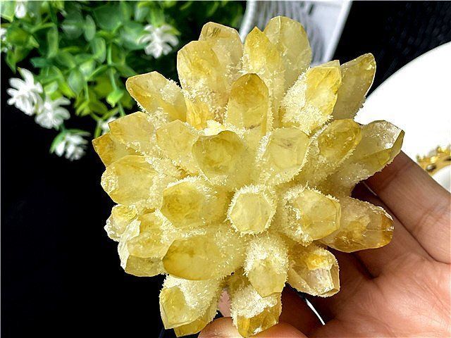 超綺麗☆パイナップル水晶クラスターB89D6/59D04A - メルカリ