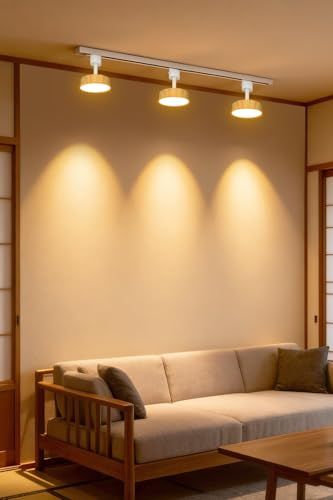 電球付き 照明器具