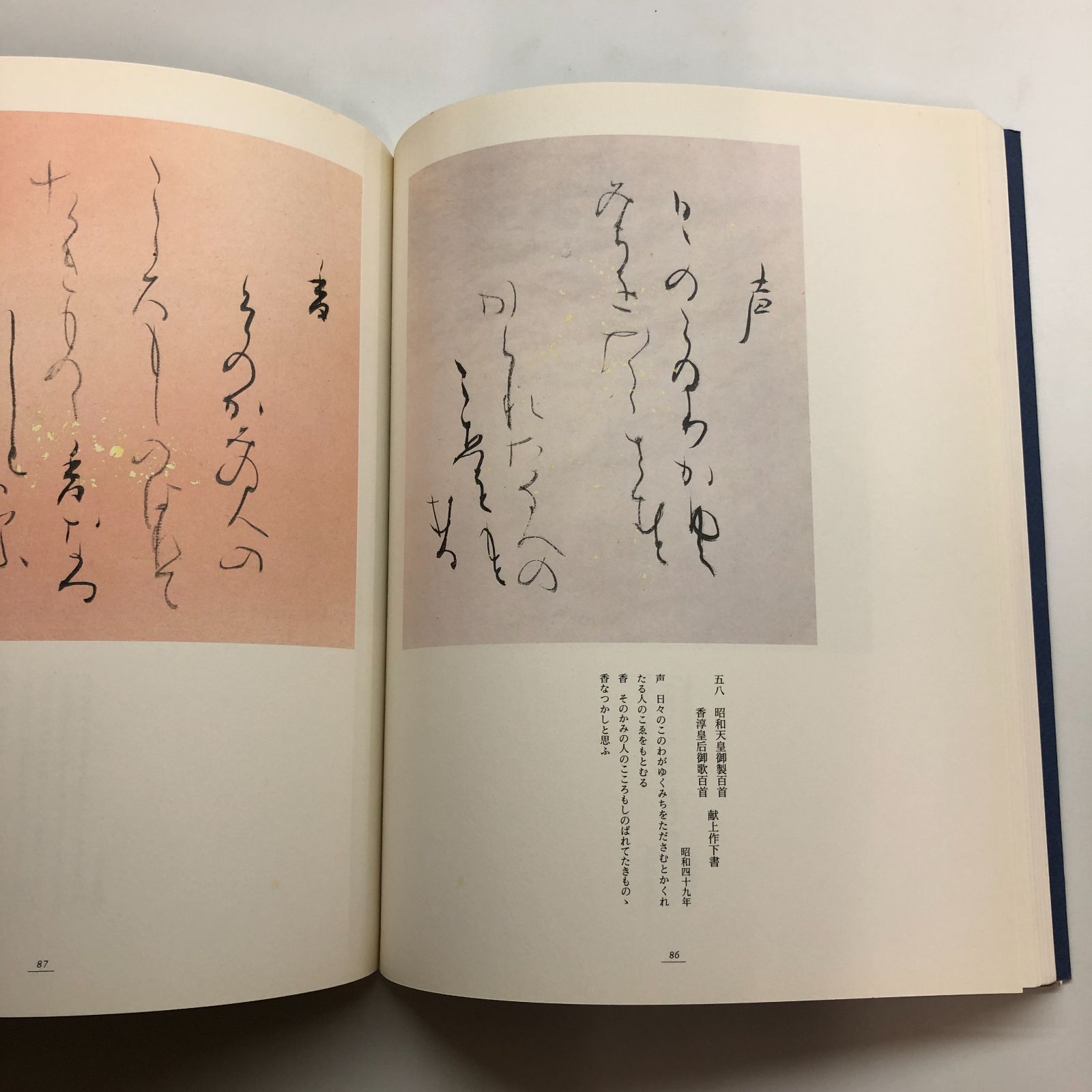 C]図録 生誕100年記念・かな書の巨匠 日比野五鳳展 - メルカリ