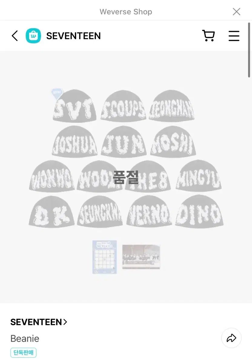 SEVENTEEN エスクプス なな民宿 ビーニー