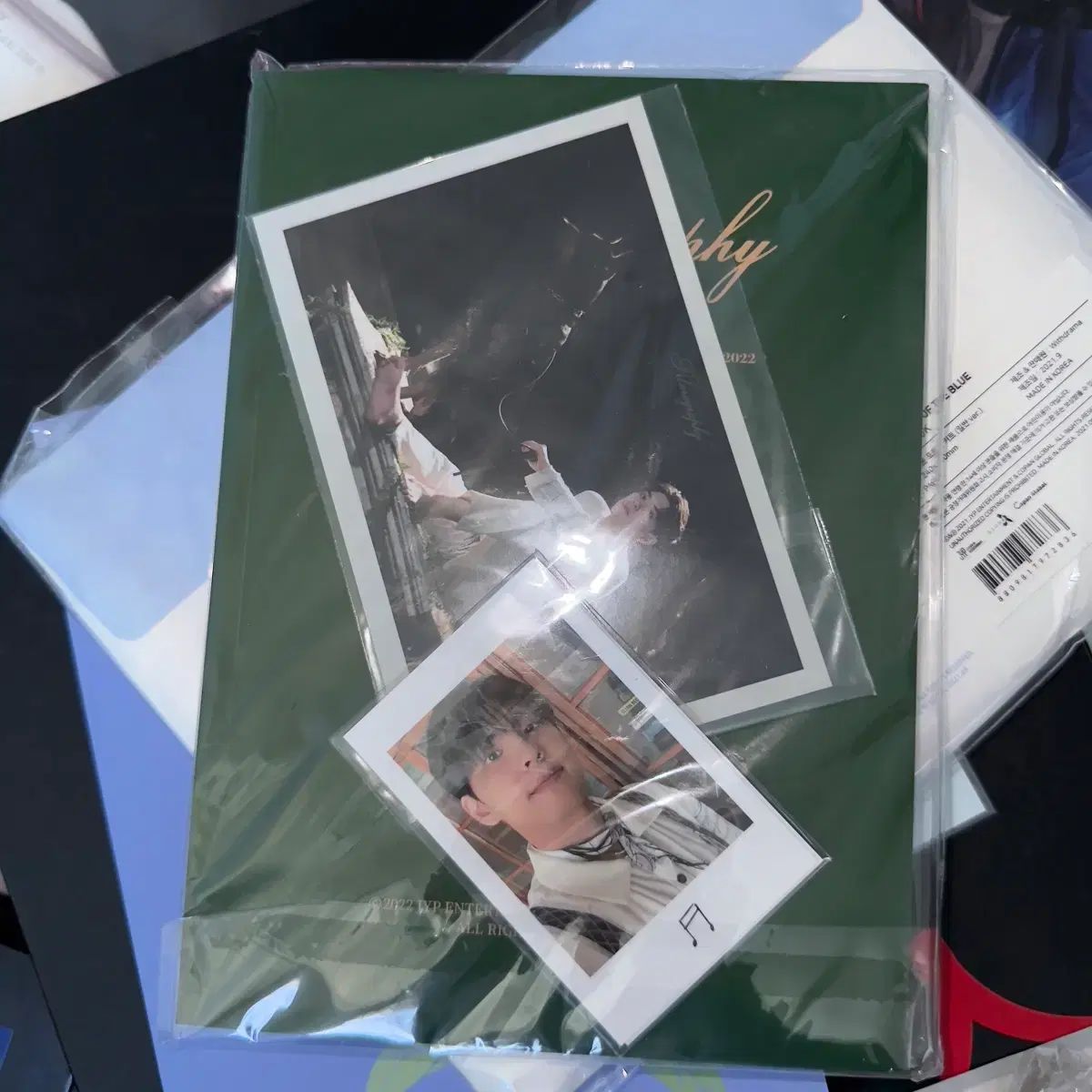 未開封 DAY6（デイシックス）ウォンピル(WONPIL)写真 フォト BOOK 通常