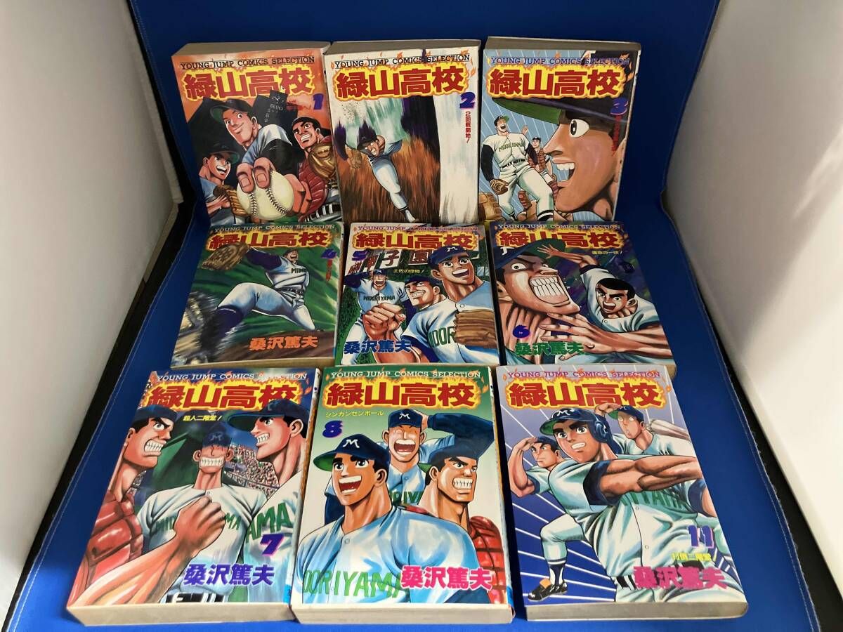 緑山高校 11 (ヤングジャンプコミックスセレクション) 緑山高校 11 (ヤングジャンプコミックス) | 桑沢 篤夫 |本 | 通販 | Amazon