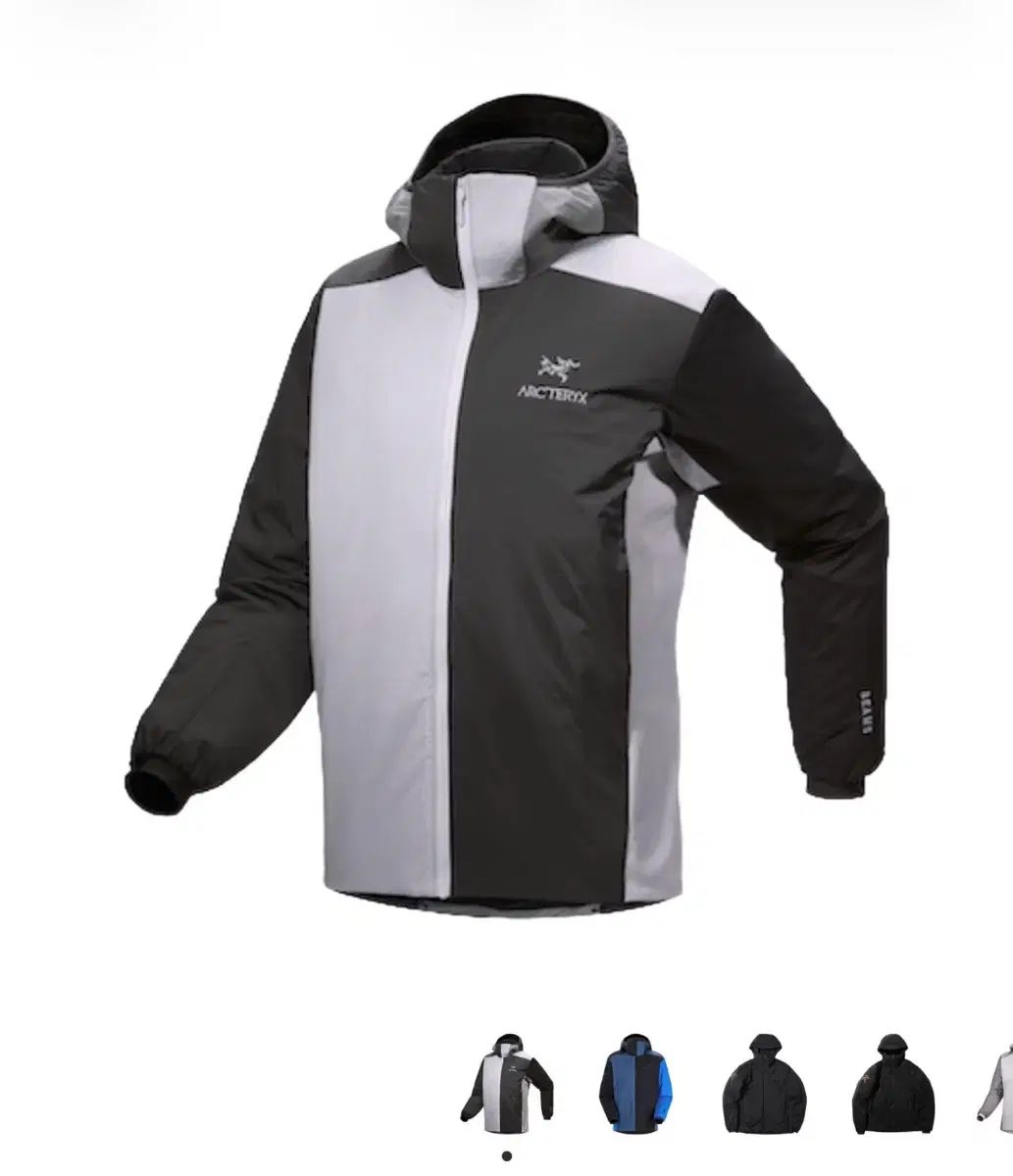 ARC TERYX BEAMS Atom Hoody WHO