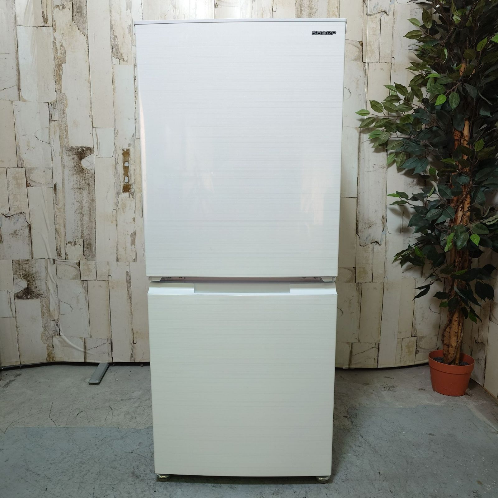 2021年製】美品 SHARP シャープ 冷蔵庫 ノンフロン冷凍冷蔵庫 家電 SJ