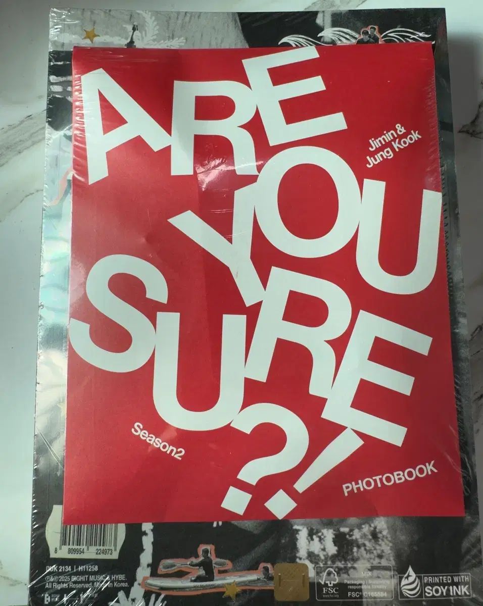 これが正しい2 フォトブック 日本