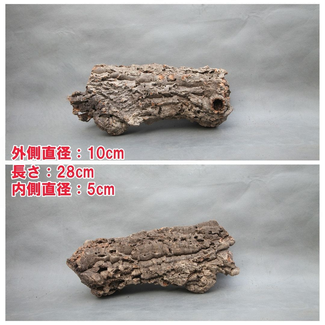 W550 ポルトガル産 キャノンコルク コルク樹皮 コルク板 バージン