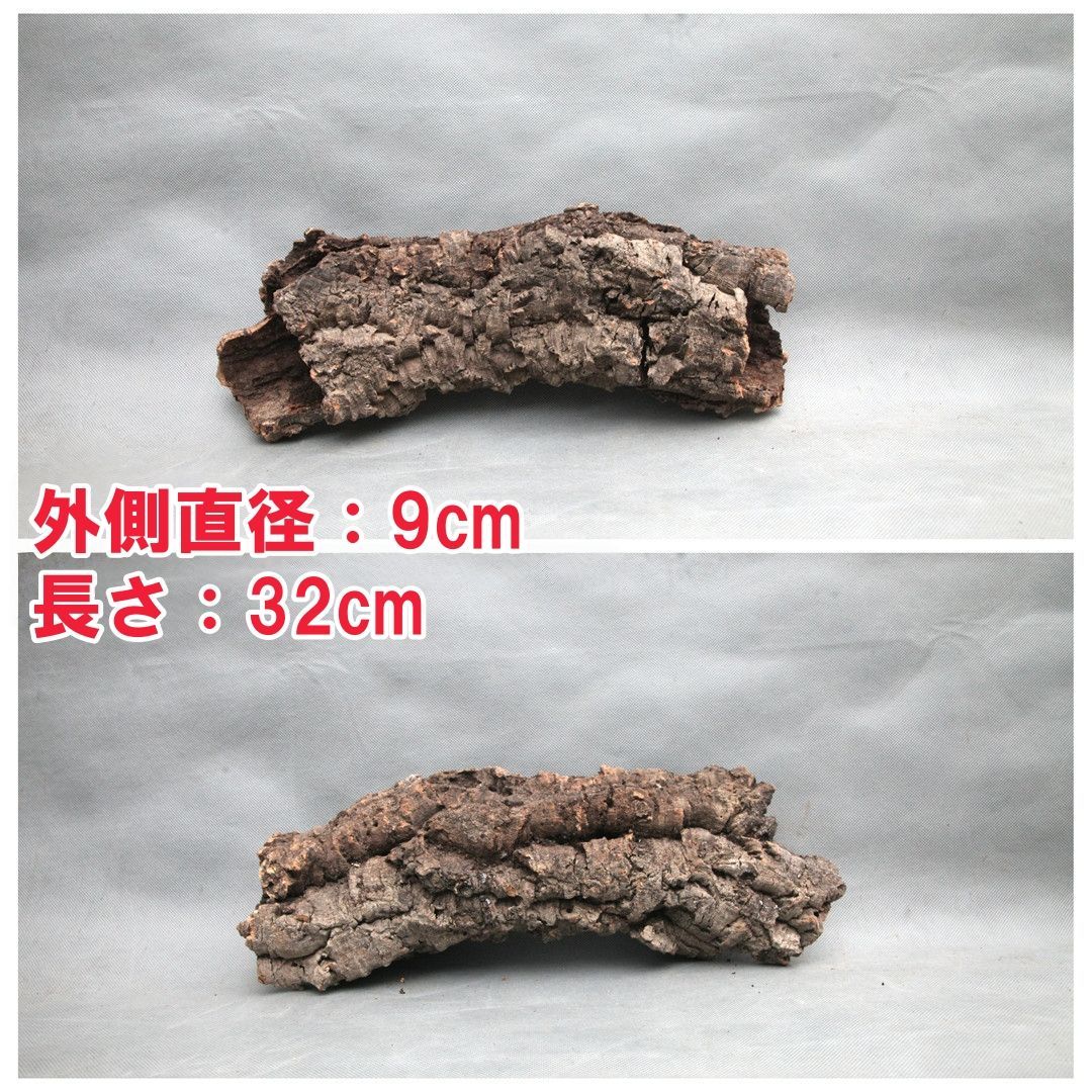 W574 ポルトガル産 キャノンコルク コルク樹皮 コルク板 バージン W574 ポルトガル産 キャノンコルク コルク樹皮 コルク板 バージン