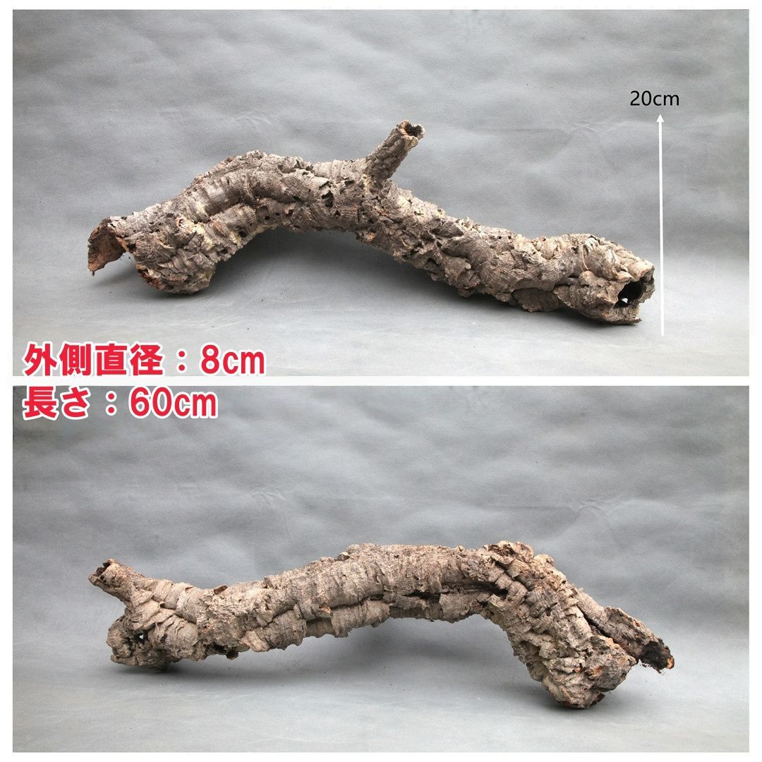 C050 ポルトガル産 キャノンコルク コルク樹皮 コルク板　バージンコルク W560 ポルトガル産 キャノンコルク コルク樹皮 コルク板 バージン