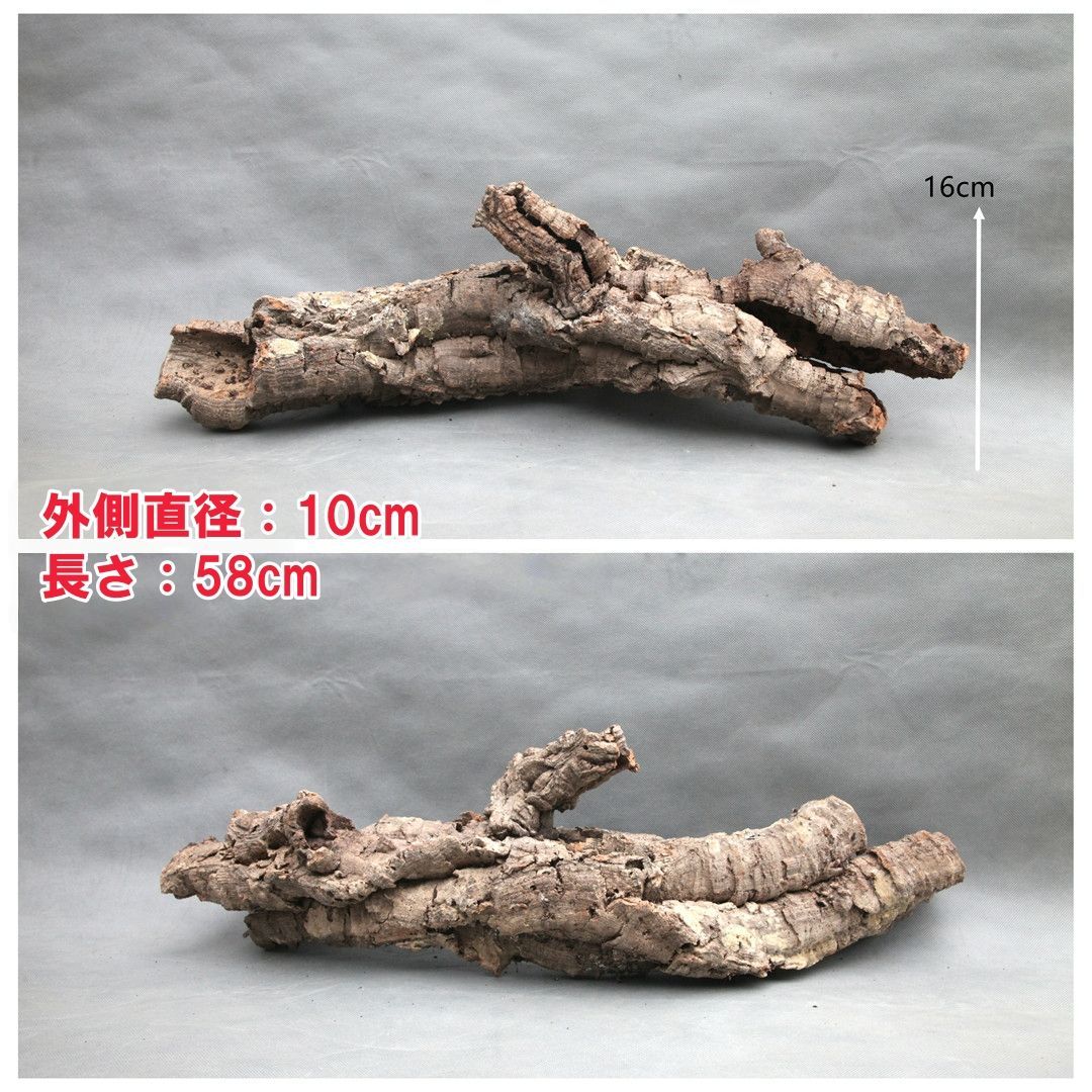 W561 ポルトガル産 キャノンコルク コルク樹皮 コルク板 バージン