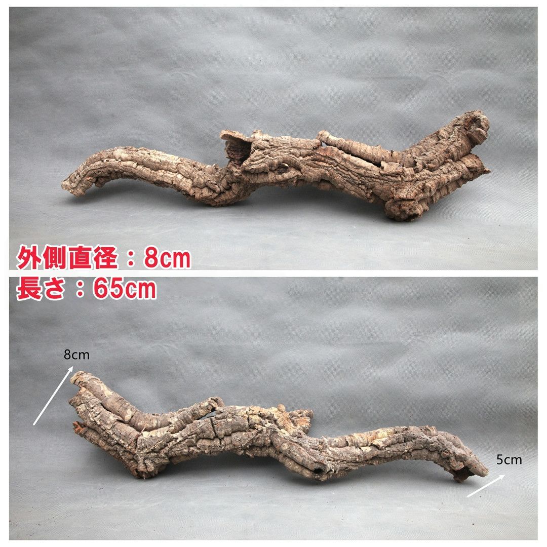 W563 ポルトガル産 キャノンコルク コルク樹皮 コルク板 バージン