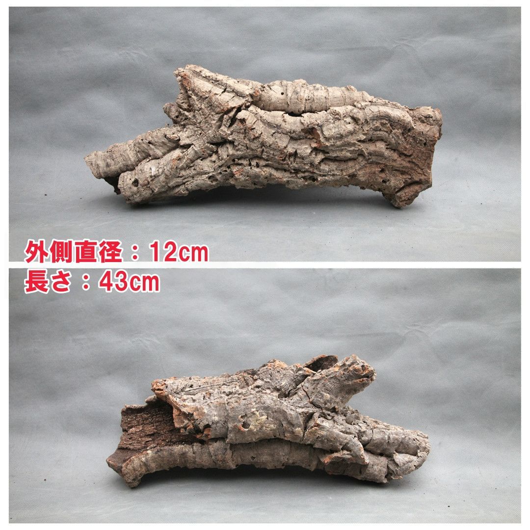 W567 ポルトガル産 キャノンコルク コルク樹皮 コルク板 バージン