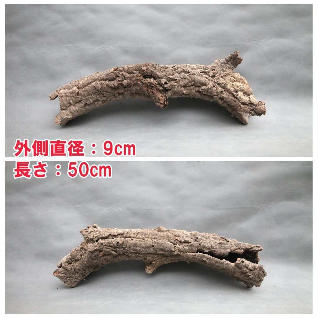 W571 ポルトガル産 キャノンコルク コルク樹皮 コルク板 バージン