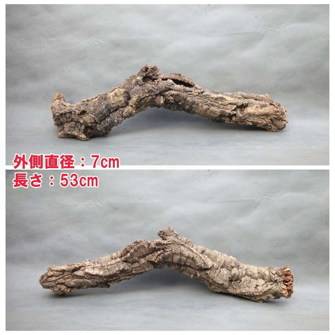 C051 ポルトガル産 キャノンコルク コルク樹皮 コルク板　バージンコルク W545 ポルトガル産 キャノンコルク コルク樹皮 コルク板 バージン