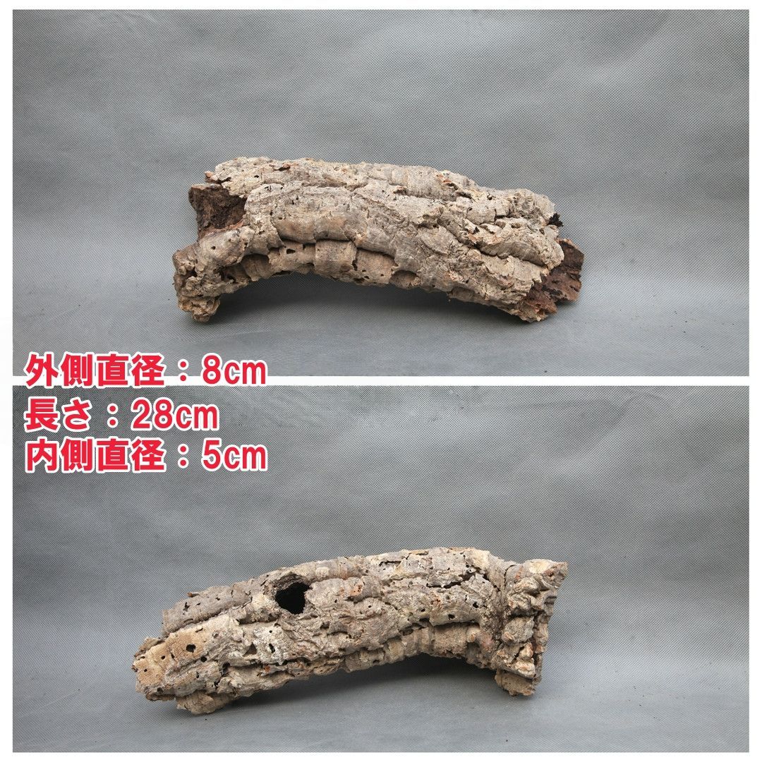 ポルトガル産コルク樹皮PL-102-10LL ポルトガル産コルク樹皮PL-102