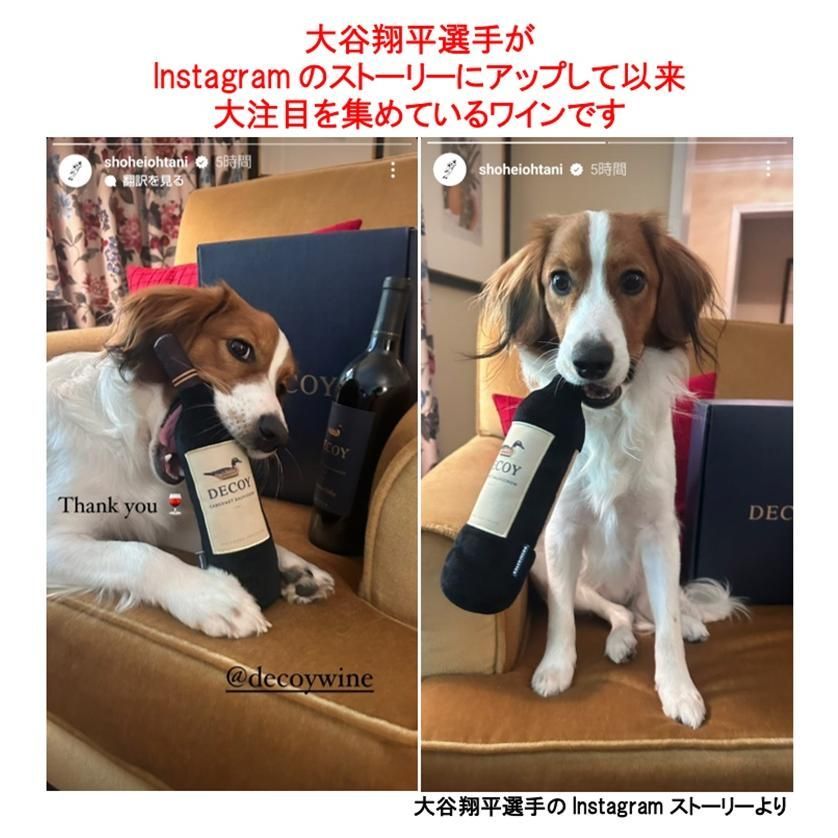 限定】大谷翔平愛犬デコピン愛飲！？デコイ カベルネ 2023 - メルカリ
