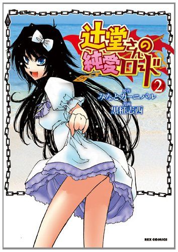 辻堂さんの純愛ロード(2) (IDコミックス REXコミックス)／黒柾 志西