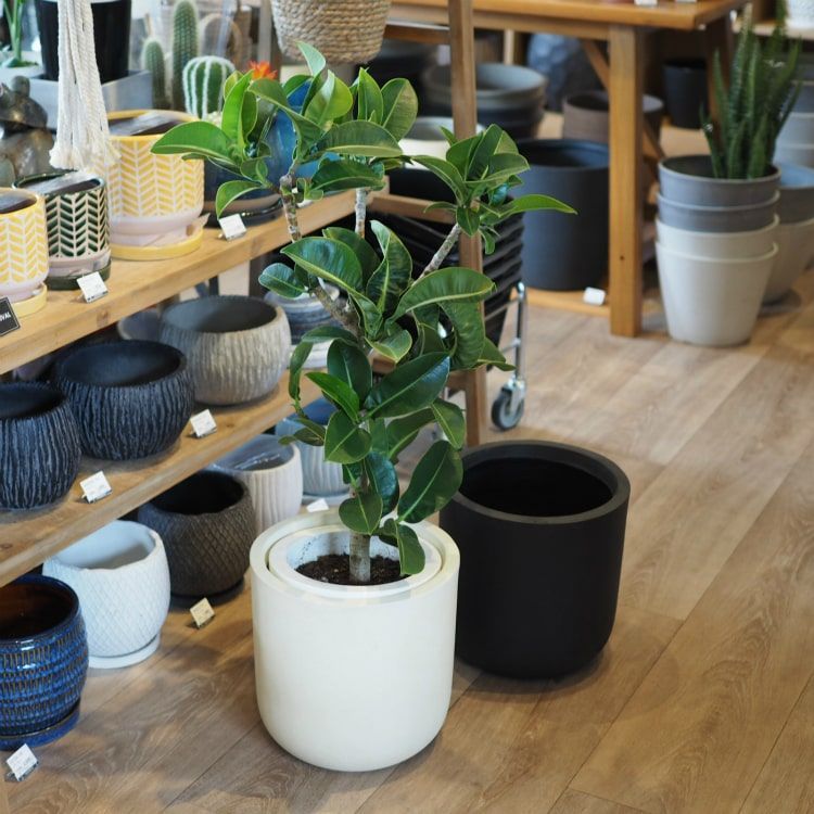 新品 植木鉢 おしゃれ グラスファイバー シンプルスタイリッシュポット