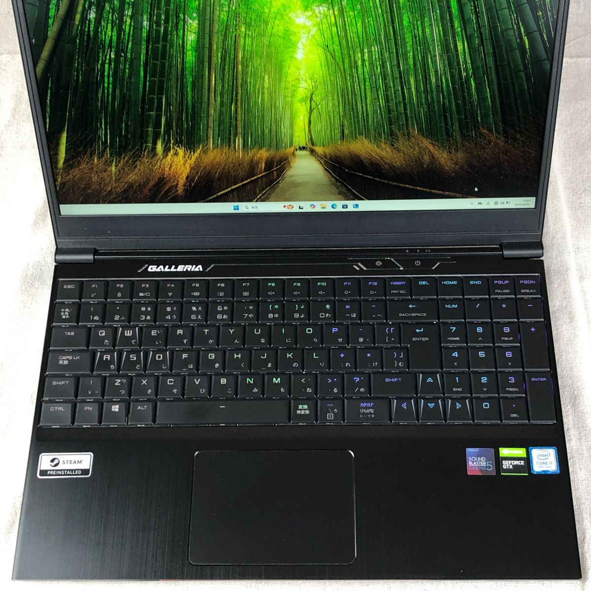 ジャンク品ゲーミングノートPC パソコン GALLERIA ガレリア GCR1660TGF 
