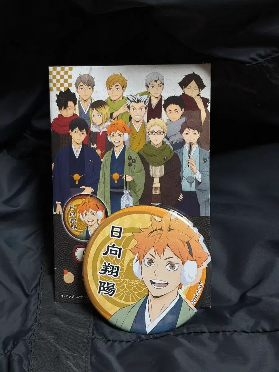 日向翔陽 缶バッジ 新春の頂 ハイキュー 新年 缶バッジ 日向 翔陽 - メルカリ