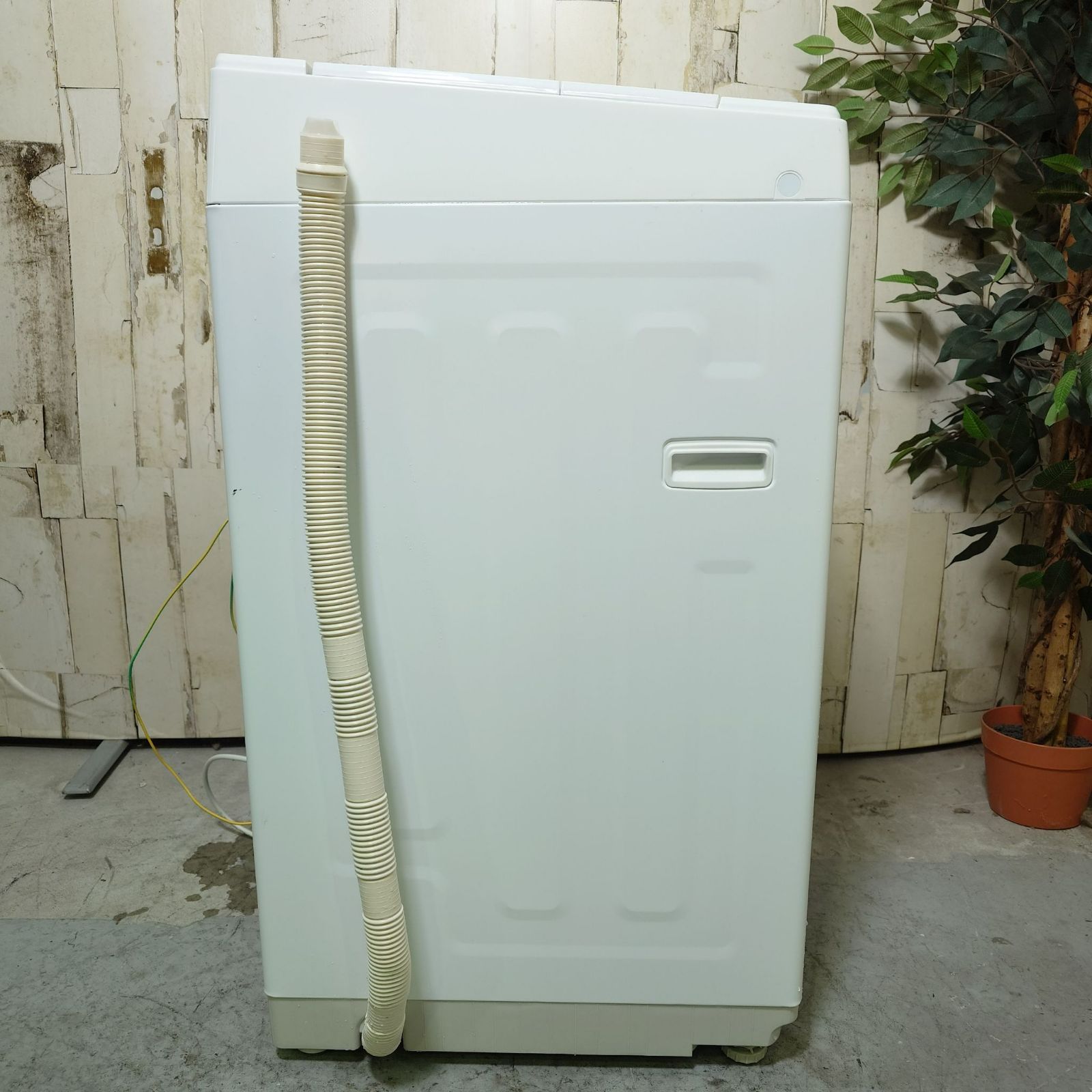 2023年製】TOSHIBA 東芝 洗濯機 AW-6GA2 6.0kg 家電 【公式通販】