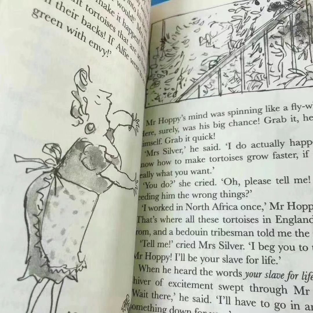 新品 Roald DAHL collection 20冊 洋書 英語 sh4 - メルカリ